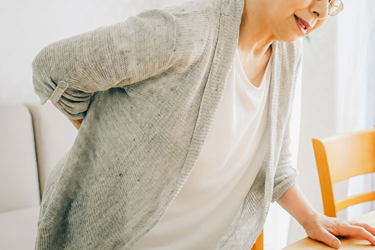 骨粗しょう症になりやすい人のイメージ