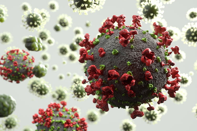 インフルエンザウイルスイメージ